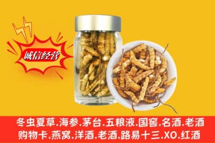 嵩明县回收散虫草