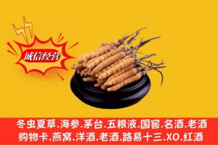 嵩明县求购回收虫草多少钱每克